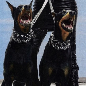 美女陰戶大合集
