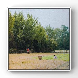 美女陰戶大合集
